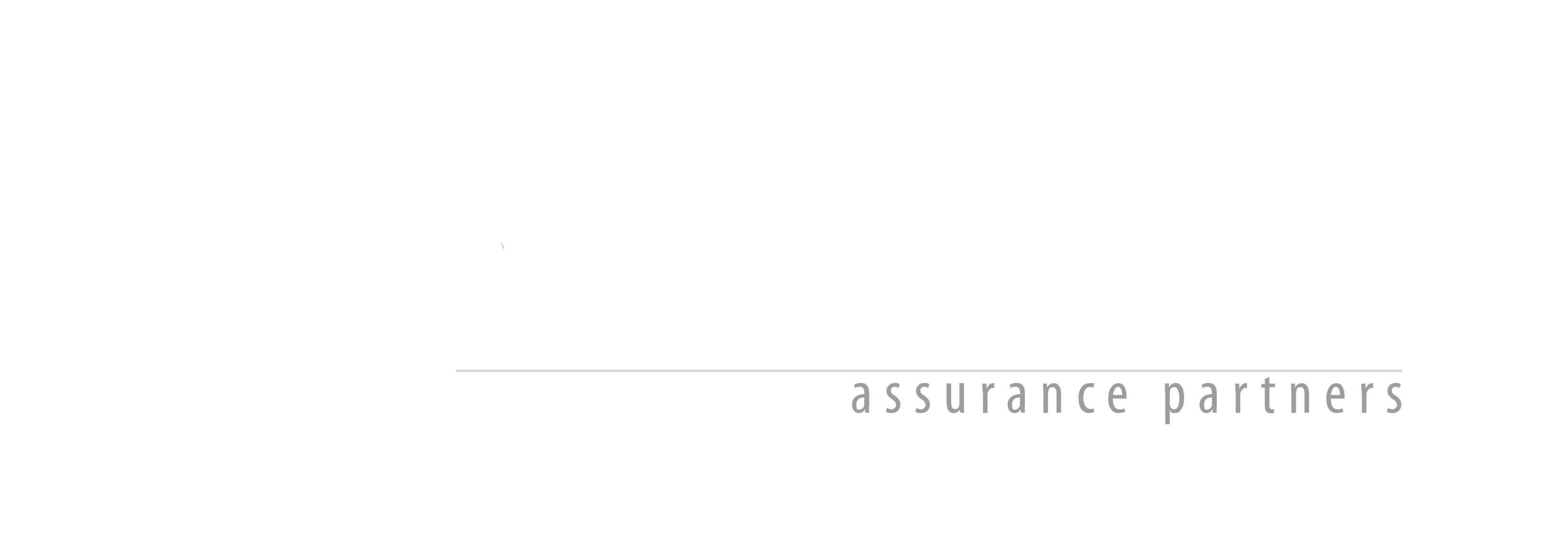 Veritas Assurance Partners