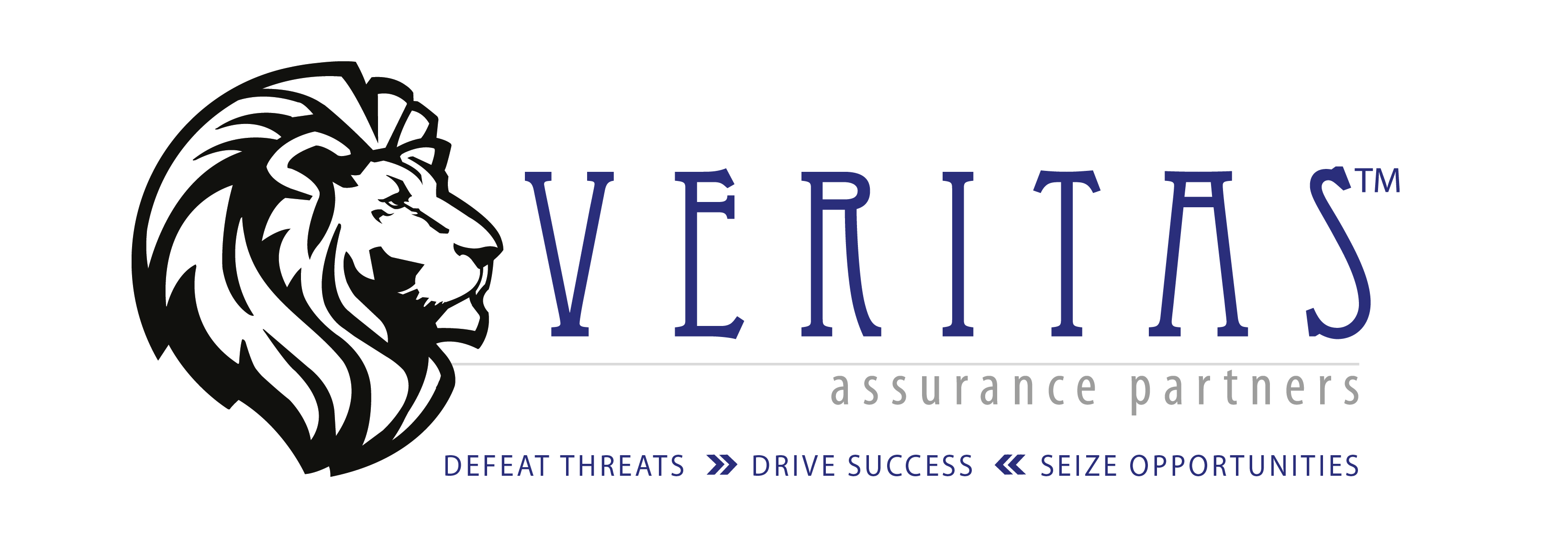 Veritas Assurance Partners